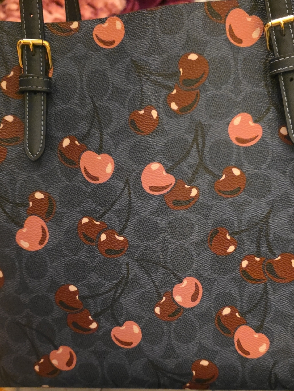 🍒Coach🍒Mollie City Tote🍒 Signature Canvas with Cherry🍒 Print Euc Beautiful! - Picture 7 of 10